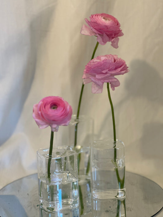 Pink Ranunculus Vase Trio Gift